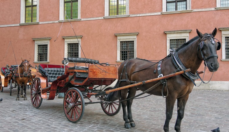 Odjechane Urodziny Warszawa - Na 30 urodziny:<br> DOROŻKA-BRYCZKA